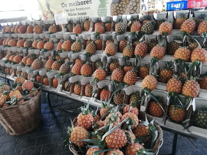 Place Mercado da Graça