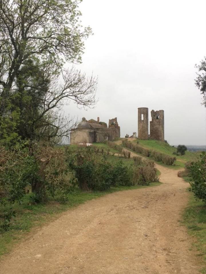 Lugar Montemor-o-Novo