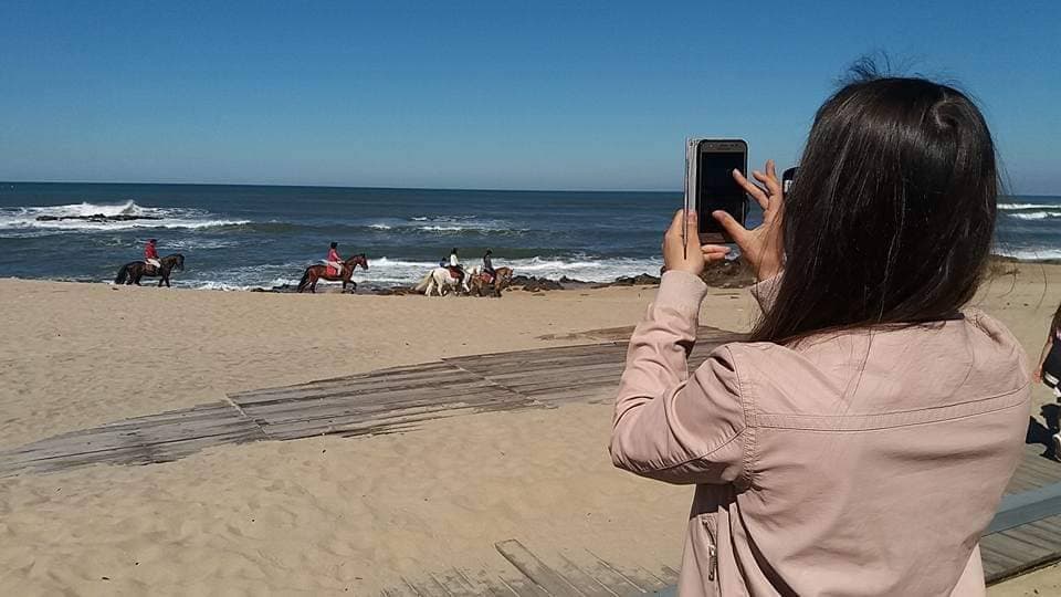 Lugar Praia de Francelos