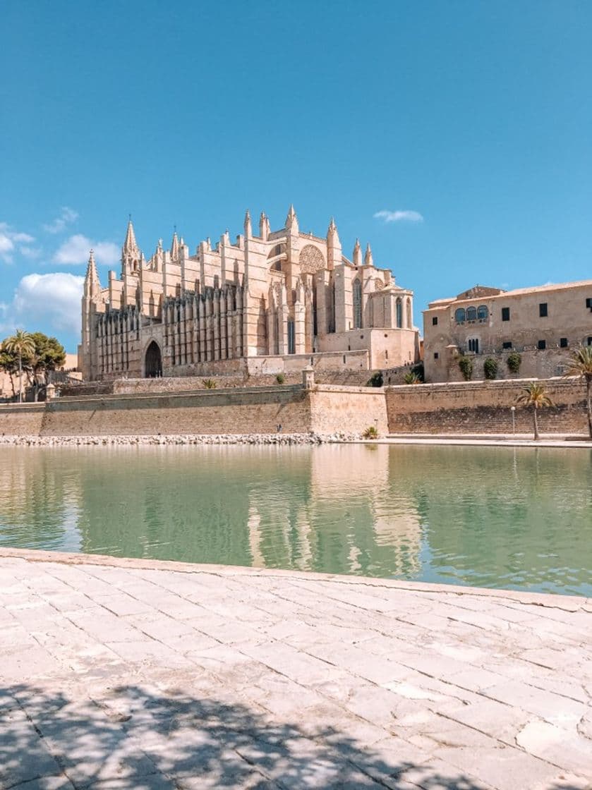 Place Catedral-Basílica de Santa María de Mallorca