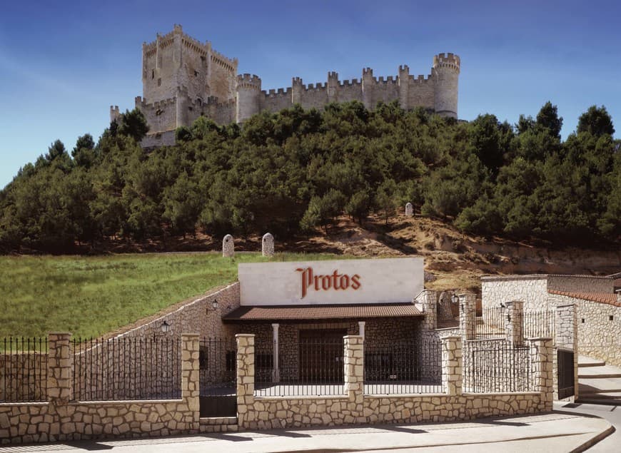 Place Protos Bodega Ribera Duero de Peñafiel S.L.