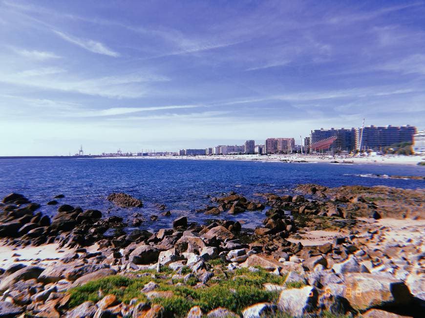 Lugar Praia de Matosinhos 