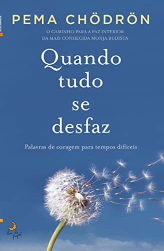 Book Quando Tudo Se Desfaz