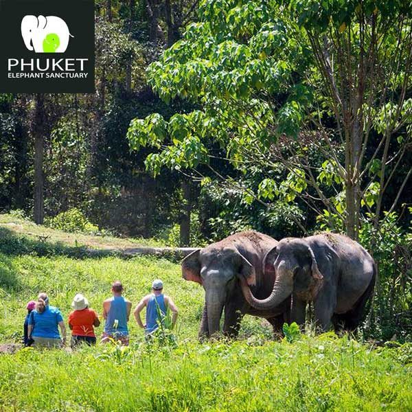 Lugar Phuket Elephant Sanctuary