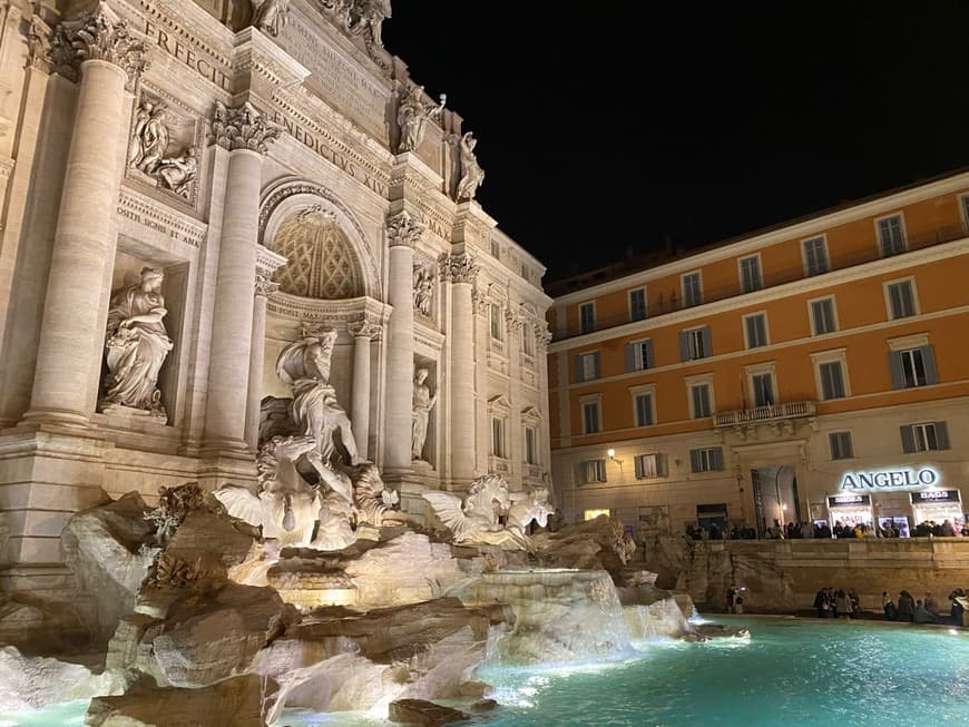 Place Fontana di Trevi