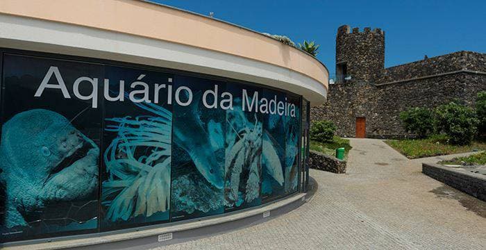 Place Aquário da Madeira