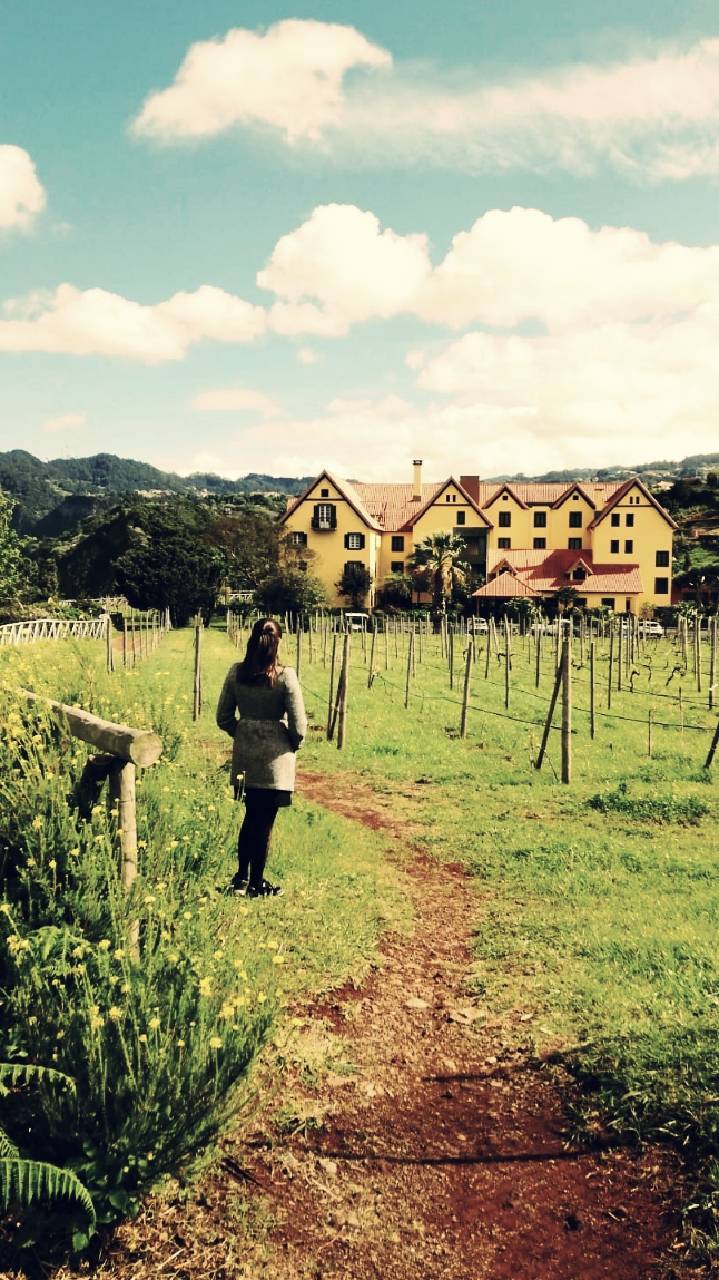 Lugar Hotel Quinta do Furão