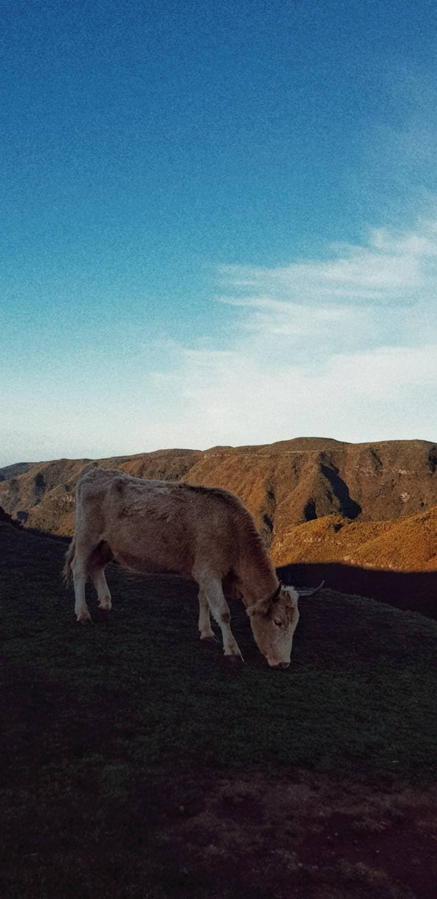 Restaurantes Serra De Agua