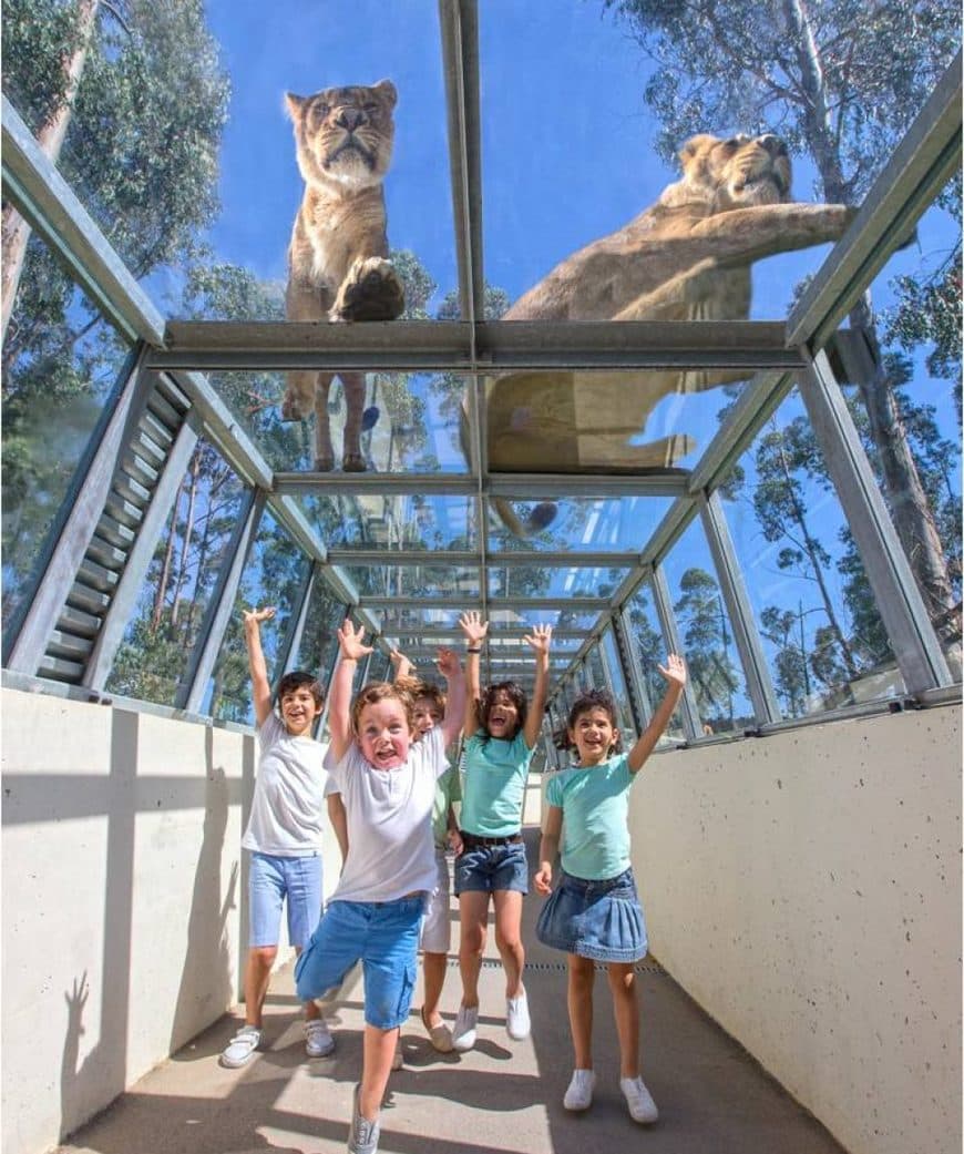 Lugar Zoo Santo Inácio - Porto