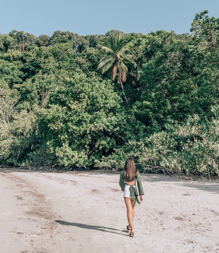 Lugar Cape Tribulation