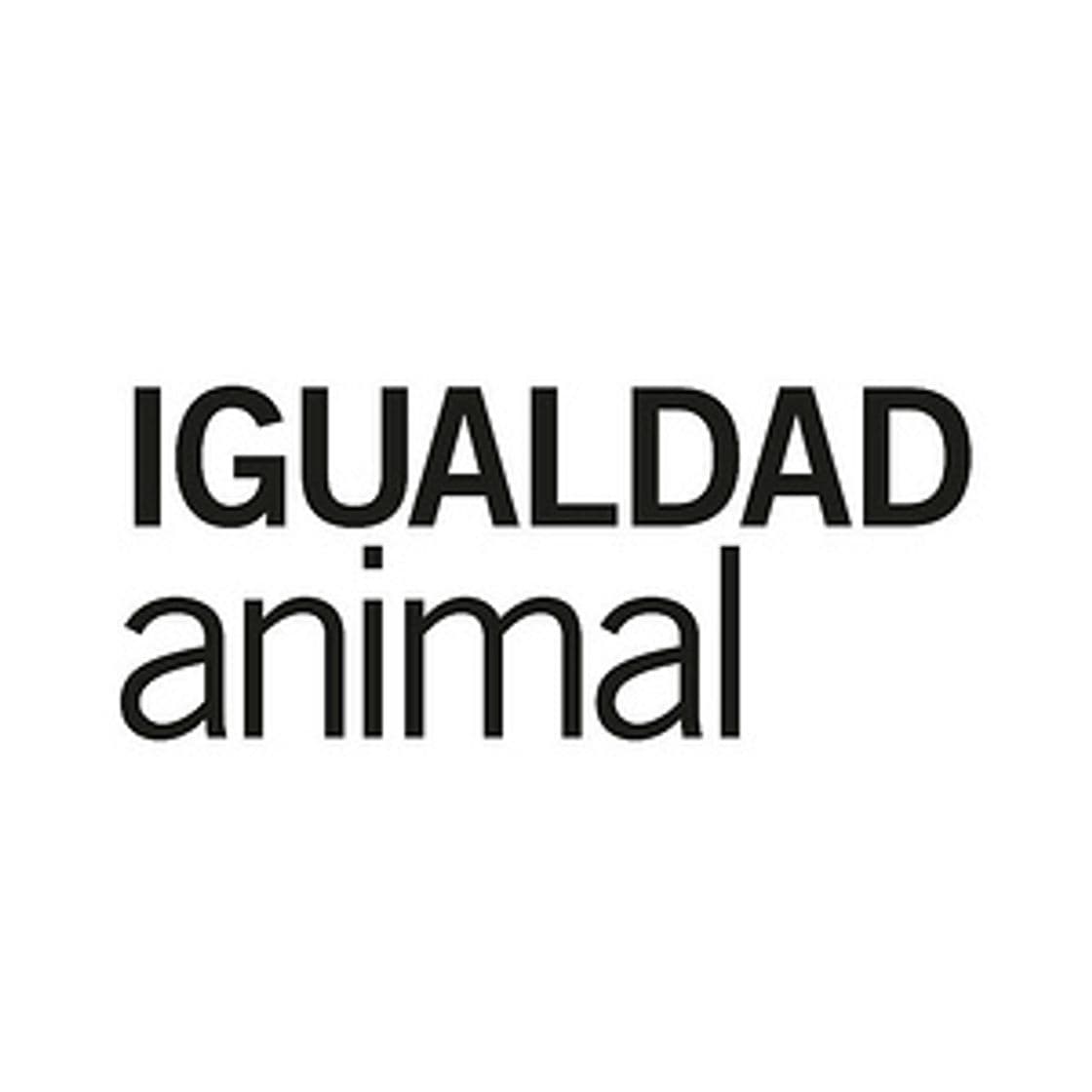 Moda Igualdad Animal