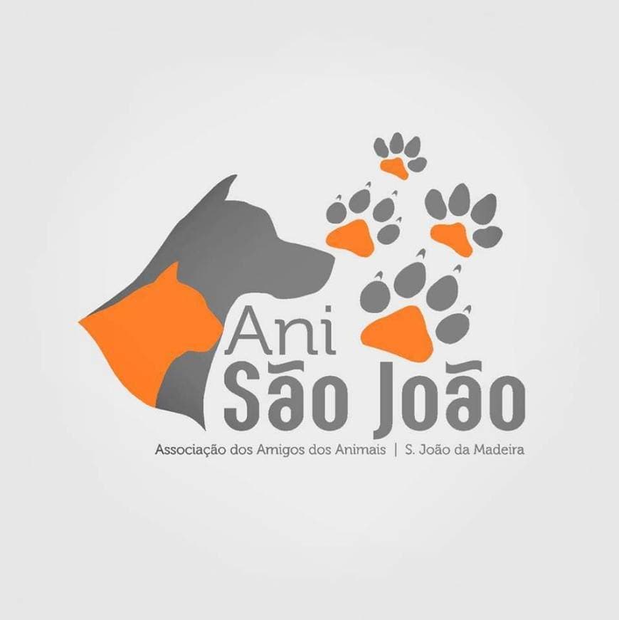 Moda Ani São João