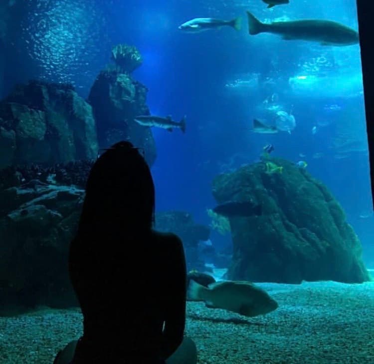 Place Oceanario de Lisboa