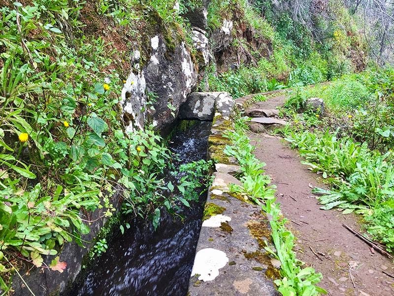 Place Camacha - Levada do Caniço