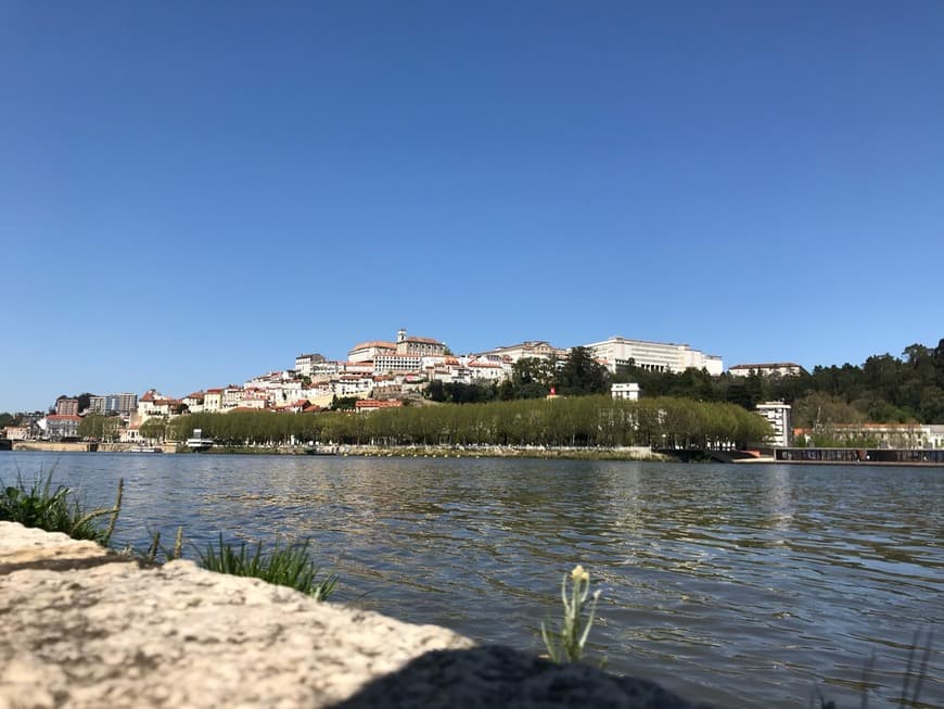 Lugar Park Verde do Mondego