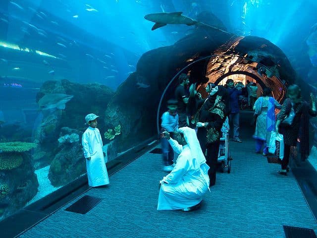 Place Sharjah Aquarium