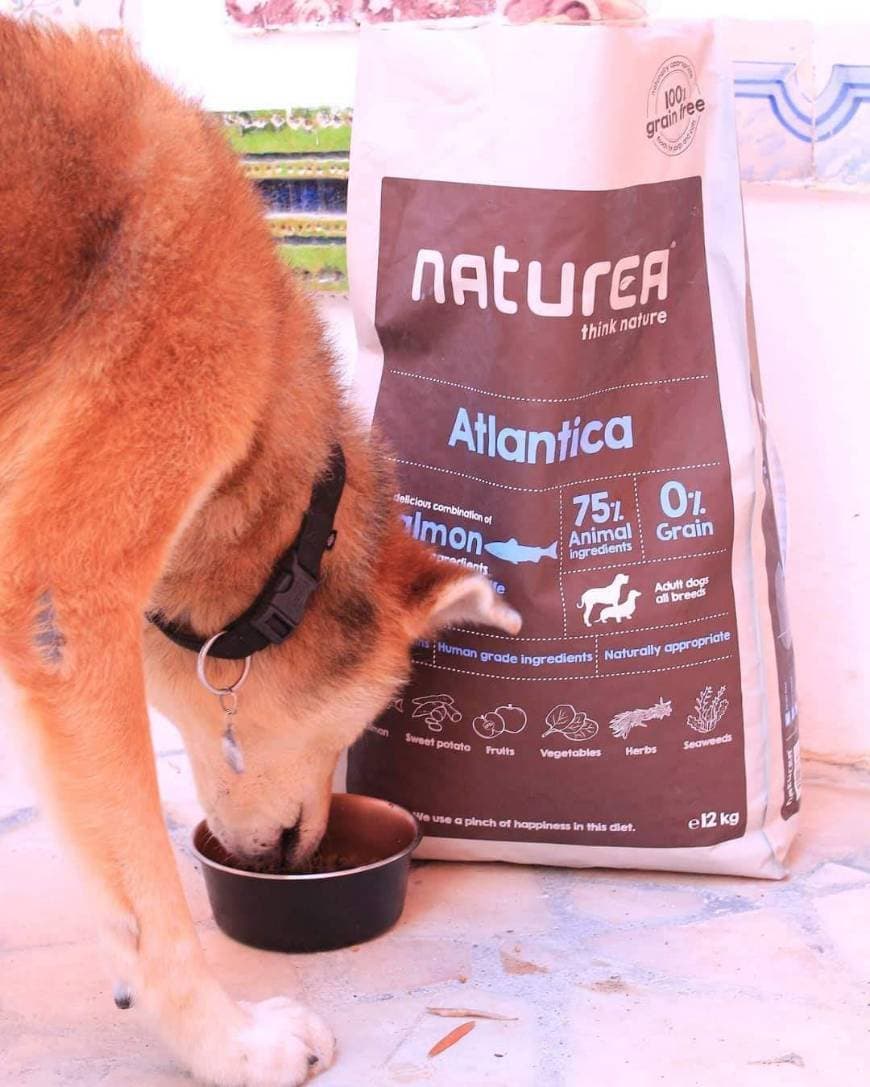 Product Naturea Atlântica