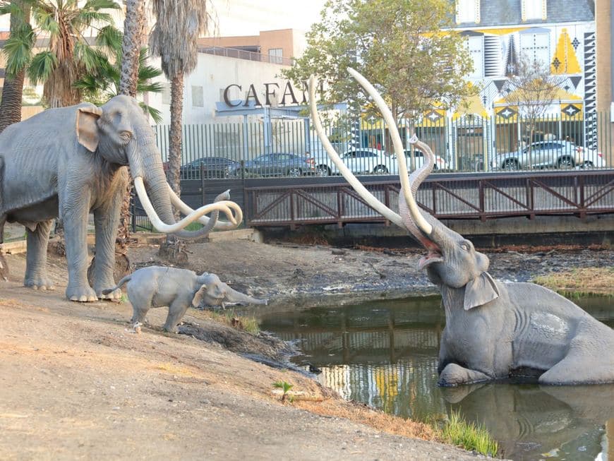 Place La Brea Tar Pits