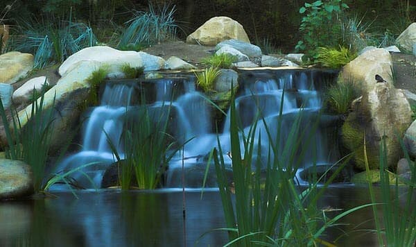 Place Descanso Gardens