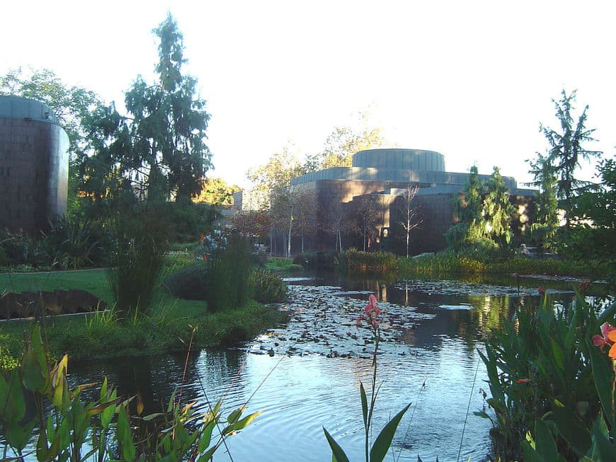 Place Norton Simon Museum