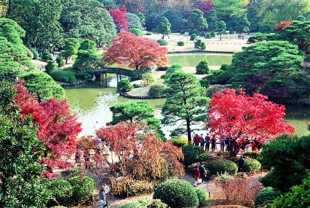 Place Jardín Rikugien