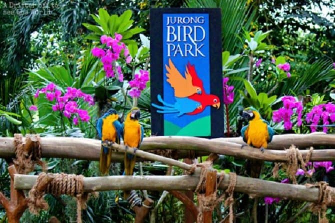 Lugar Jurong Bird Park