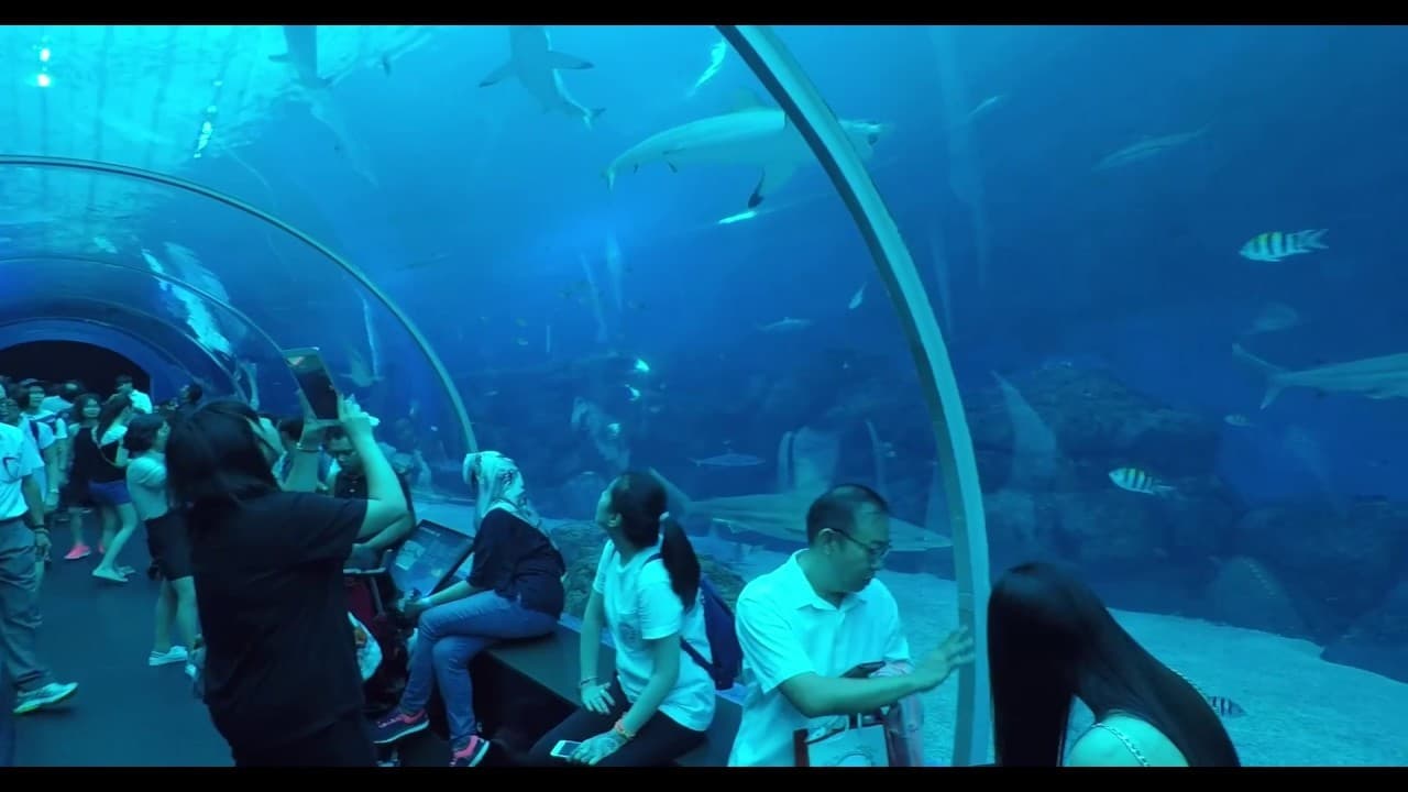 Place S.E.A. Aquarium