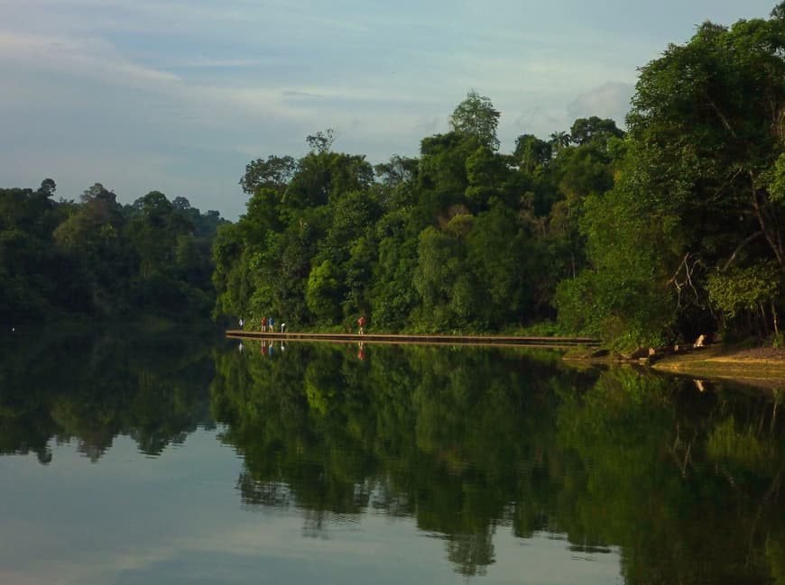 Place MacRitchie Reservoir