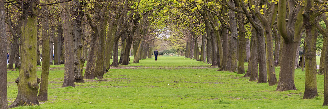 Lugar Regents Park