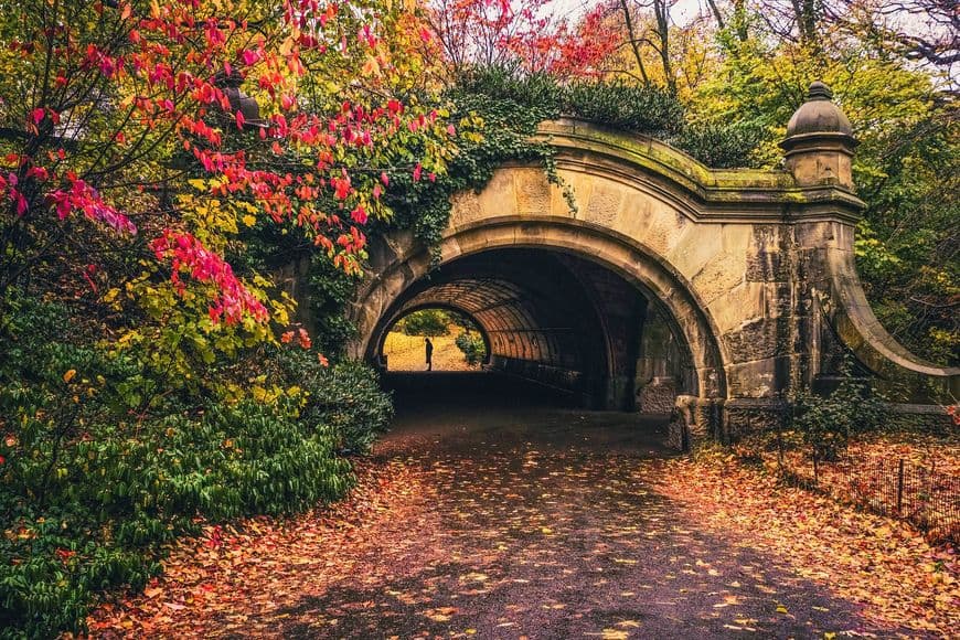 Lugar Prospect Park