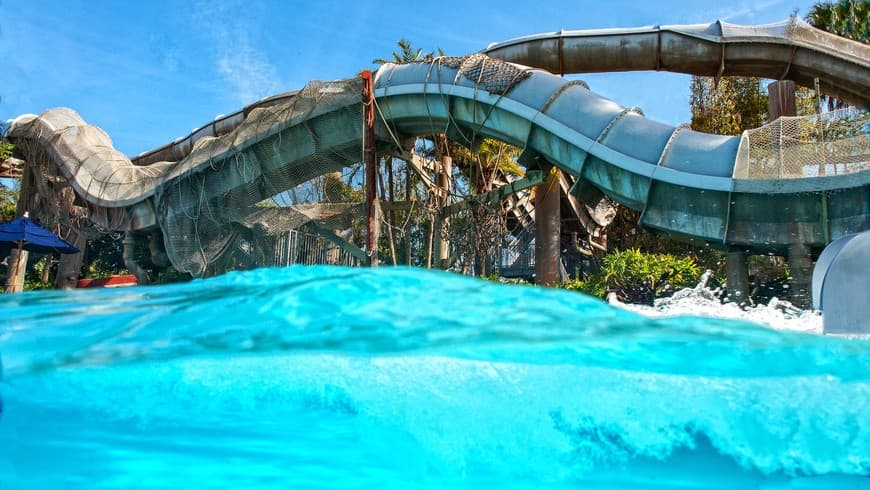 Place Disney's Typhoon Lagoon