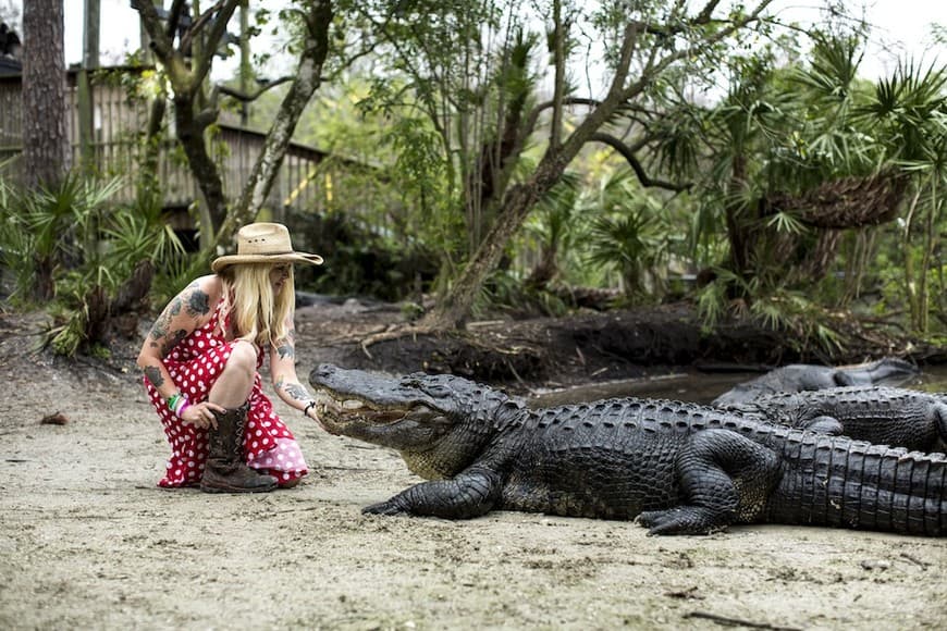 Place Gatorland