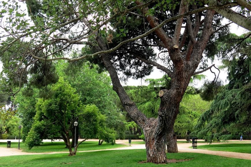 Place Parque del Oeste