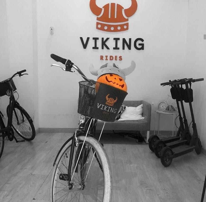 Place Viking Rides