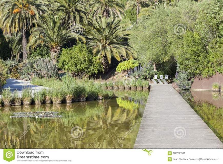 Lugar Jardí Botànic de Barcelona