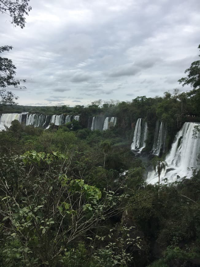 Lugar Cataratas del Iguazú