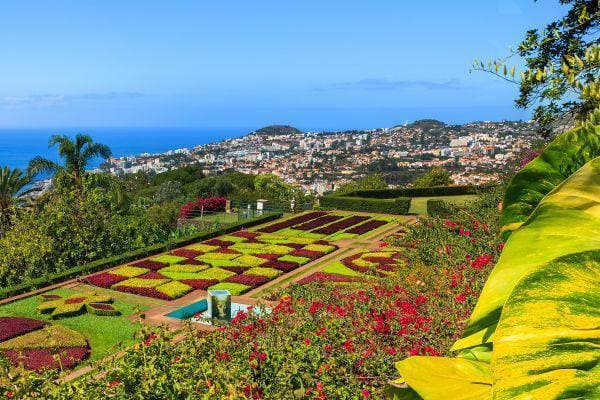 Place Jardín Botánico de Madeira