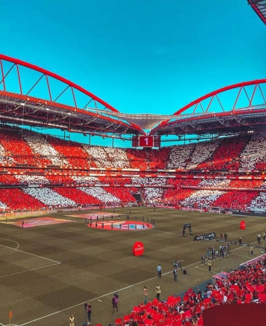 Lugar Estádio Sport Lisboa e Benfica