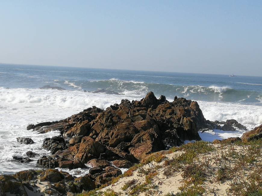 Lugar Leça da Palmeira Beach