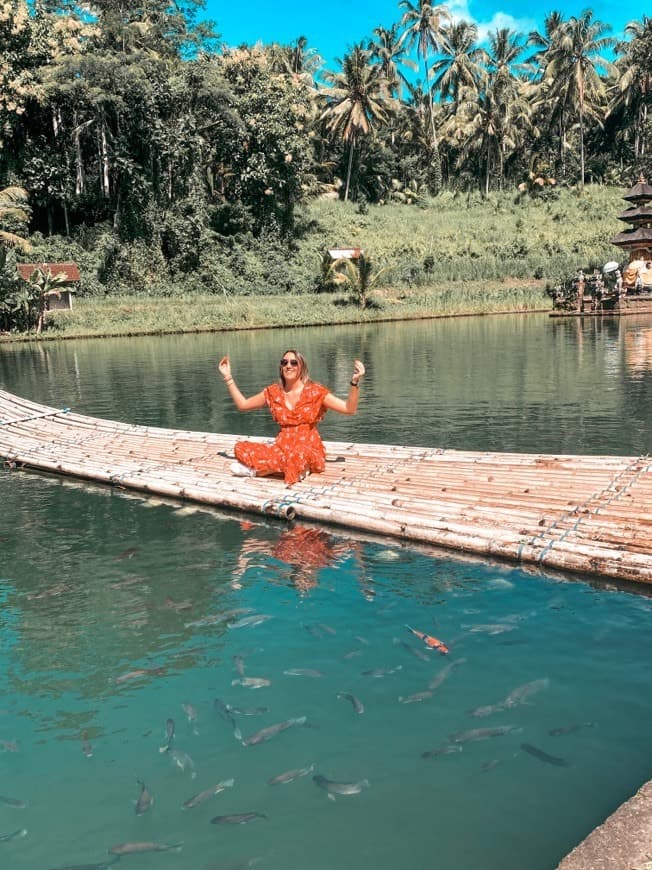 Place Pura Tirta Taman Mumbul