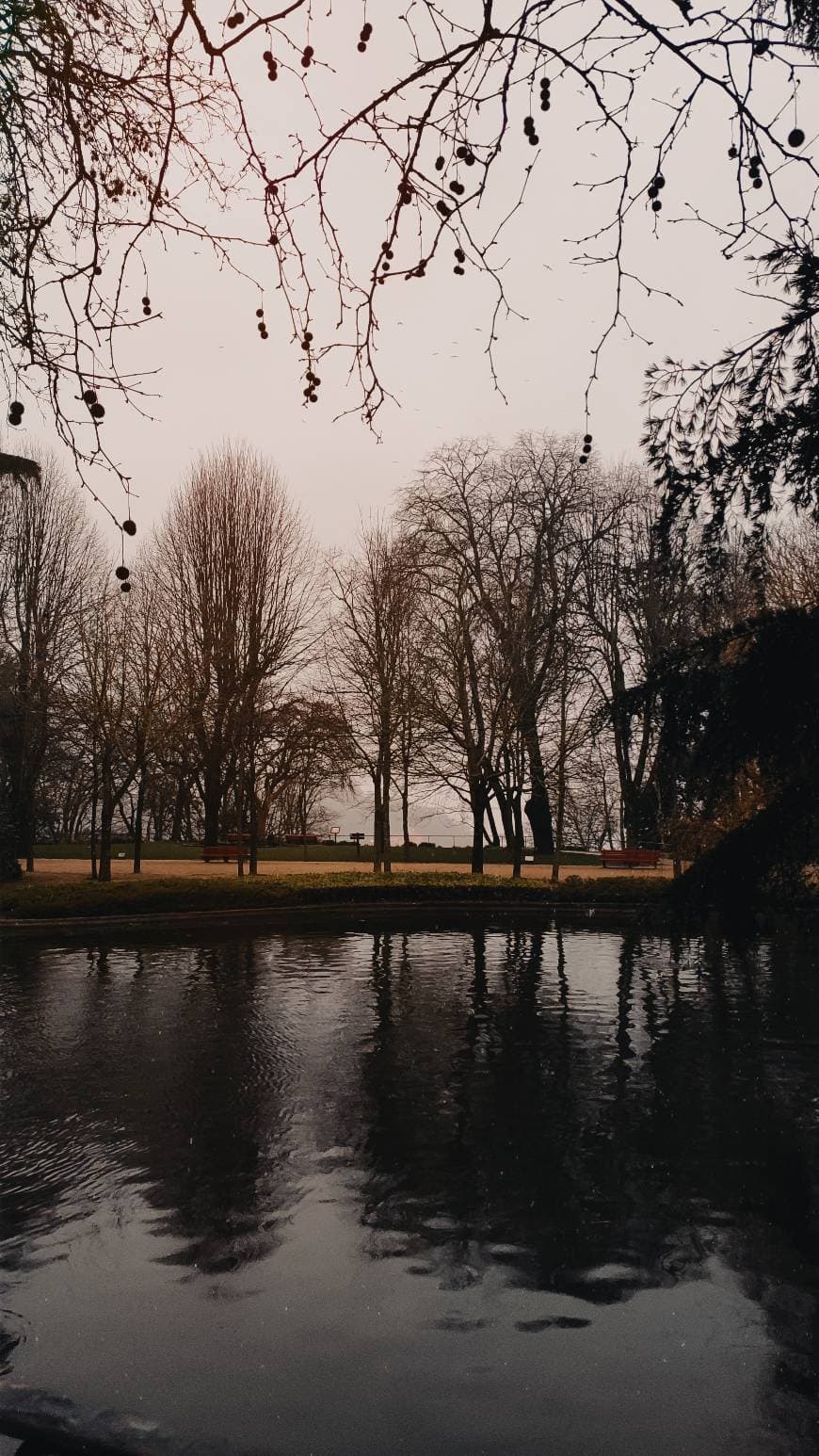 Place Jardins do Palácio de Cristal