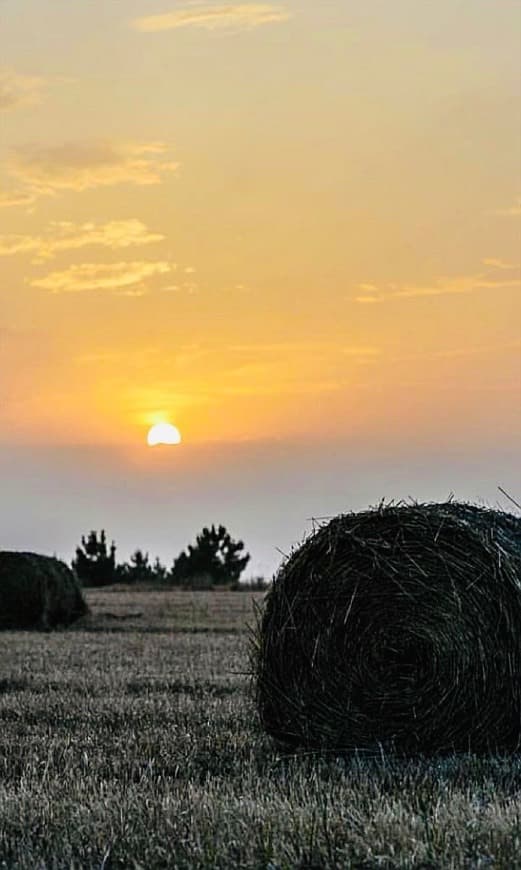 Place Alentejo