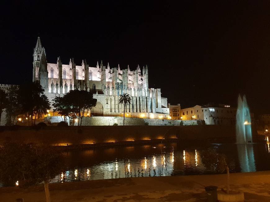 Place Catedral-Basílica de Santa María de Mallorca