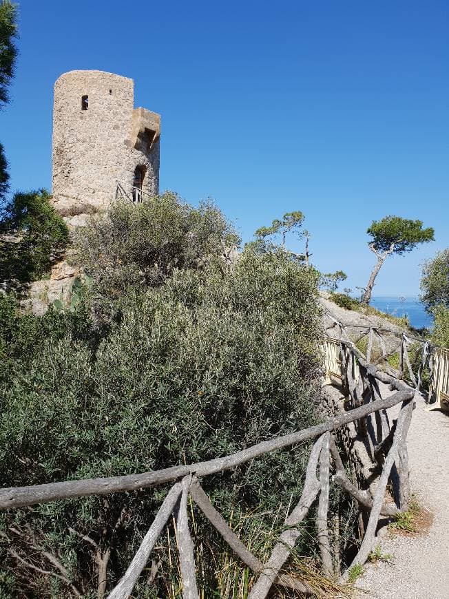 Place Torre del Verger