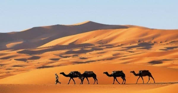 Lugar Sahara Desert