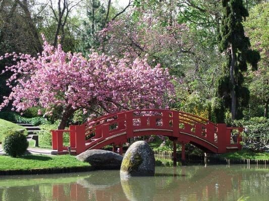 Lugar Jardin Japonais