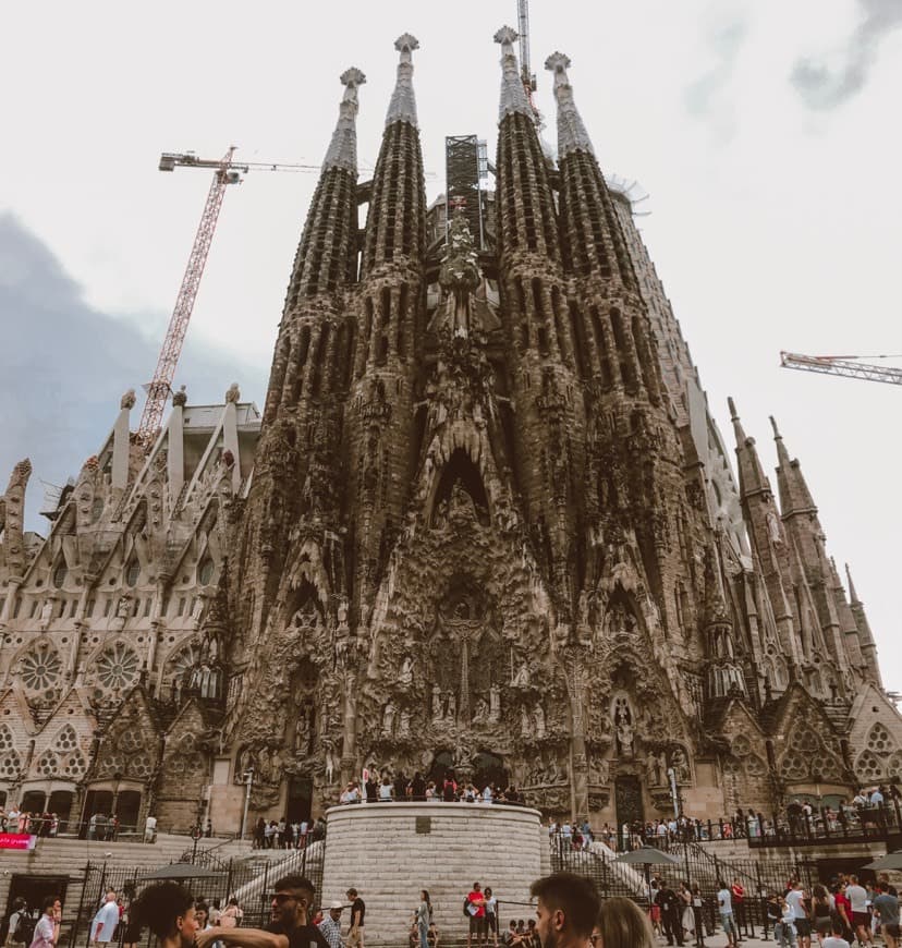 Lugar Basílica Sagrada Familia