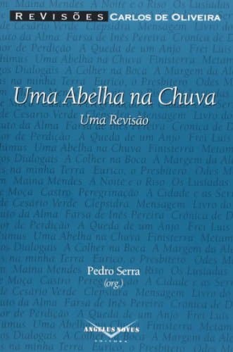 Libro Uma abelha na chuva