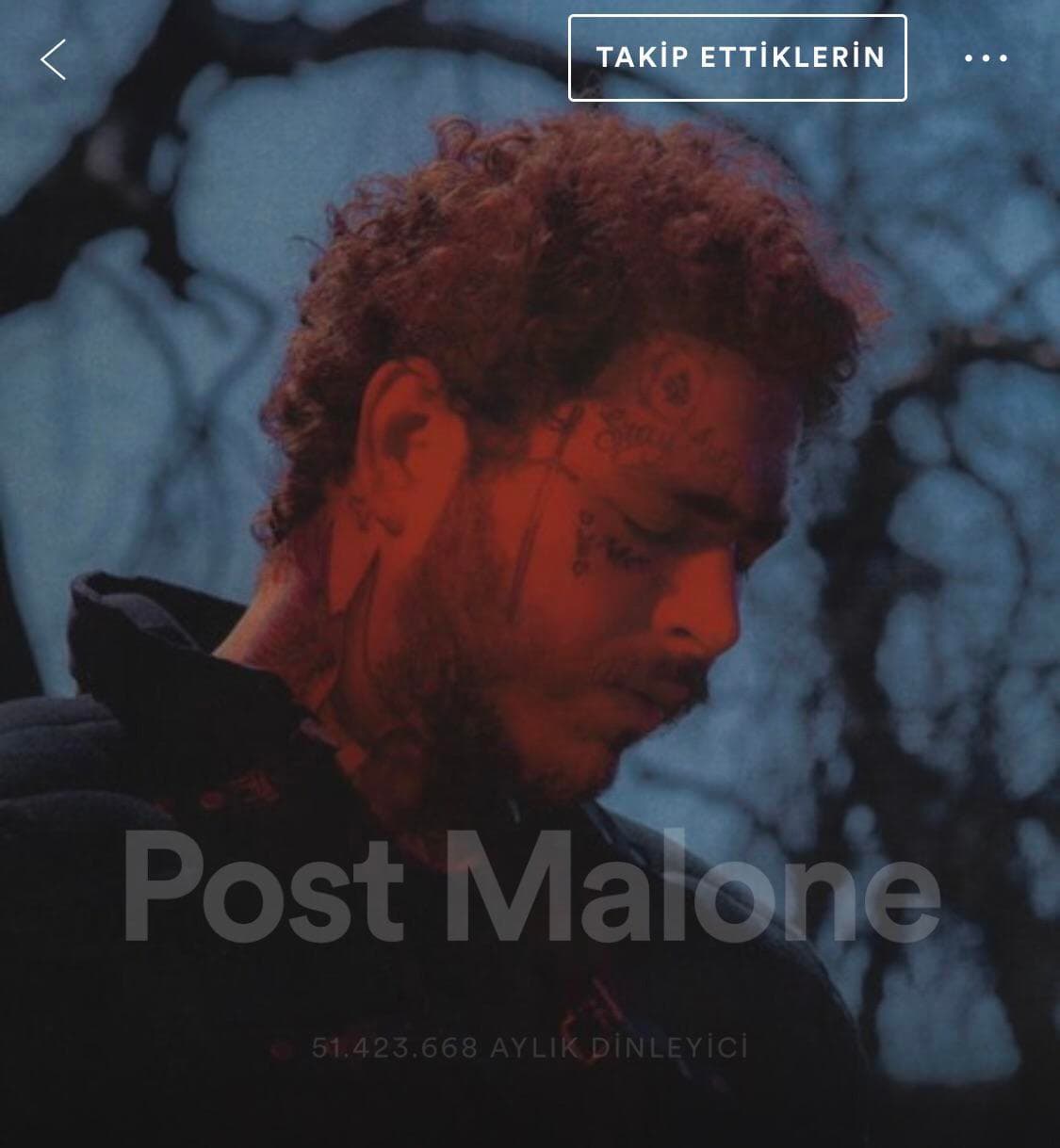 Fashion Post Malone on Spotify