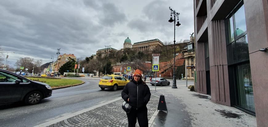 Restaurantes Buda Castle